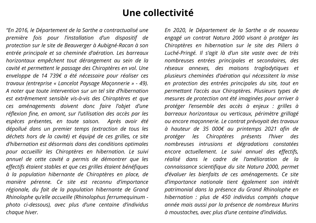 Collectivité